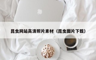 张掖昆虫网站高清照片素材（昆虫图片下载）